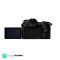 Panasonic LUMIX G9 Mirrorless Camera, Micro Four Thirds, 20.3 Megapixels Plus 80 Megapixel, High-Resolution Mode with LUMIX G Vario 12-60mm F3.5-5.6 Lens (DC-G9MK) , Black