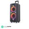 F&D PA300 100 Watt Wireless Bluetooth Party Speaker (Black)