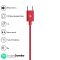 ZEBRONICS Zeb-Buds C2 in Ear Type C Wired Earphones with Mic, Braided 1.2 Metre Cable, Metallic Design, 10mm Drivers, in Line Mic & Volume Controller (Red)