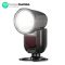 NEEWER Z1-N TTL Round Head Speedlite Flash Kit